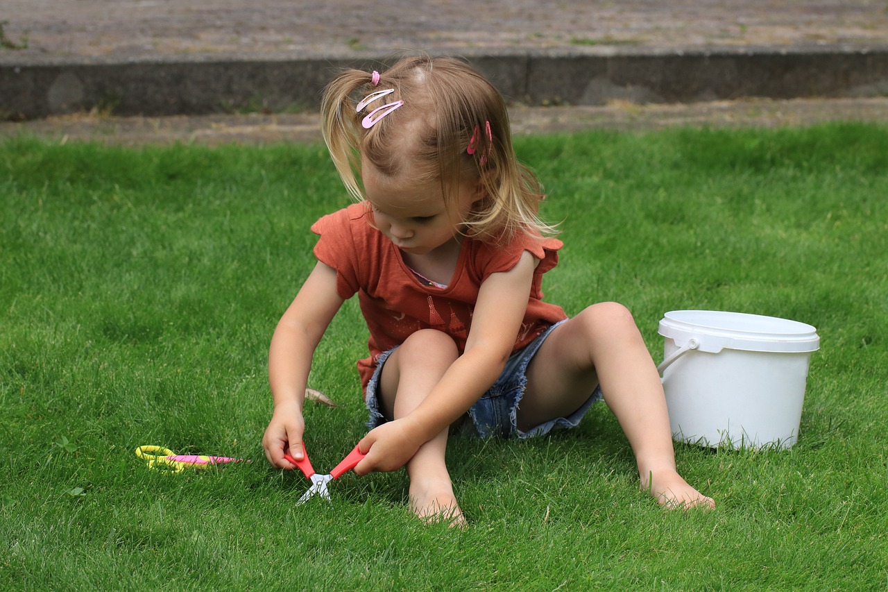 Effective Ways to Secure Your Backyard